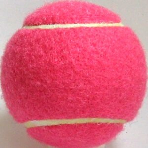 Starter Walker Balls